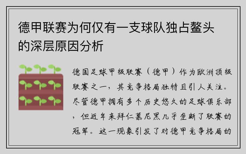 德甲联赛为何仅有一支球队独占鳌头的深层原因分析