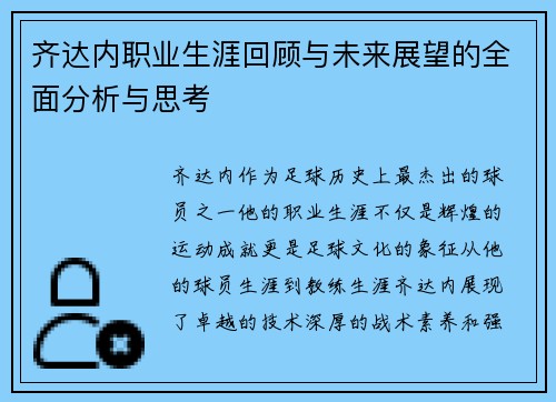 齐达内职业生涯回顾与未来展望的全面分析与思考