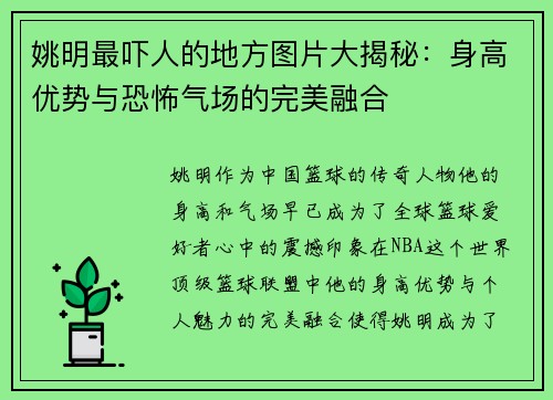 姚明最吓人的地方图片大揭秘：身高优势与恐怖气场的完美融合