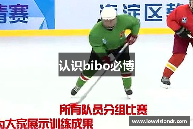 认识bibo必博